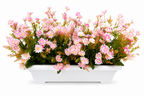 Artificial Pink Daisy Flower Planter