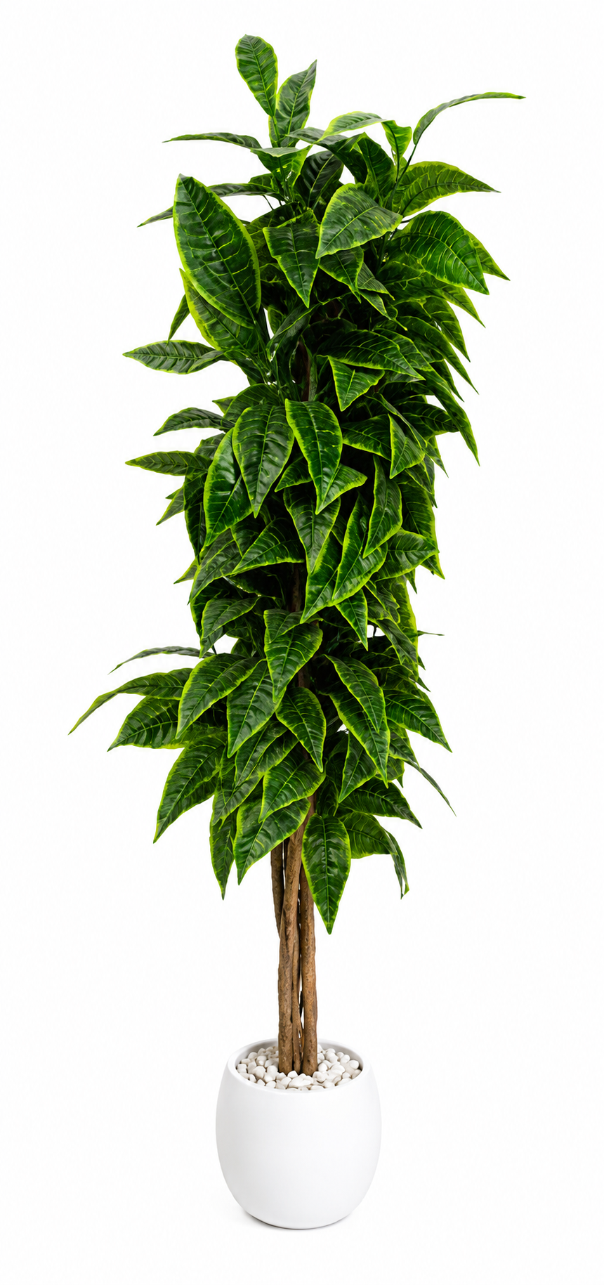 Artificial Green Variegated Indoor Plant