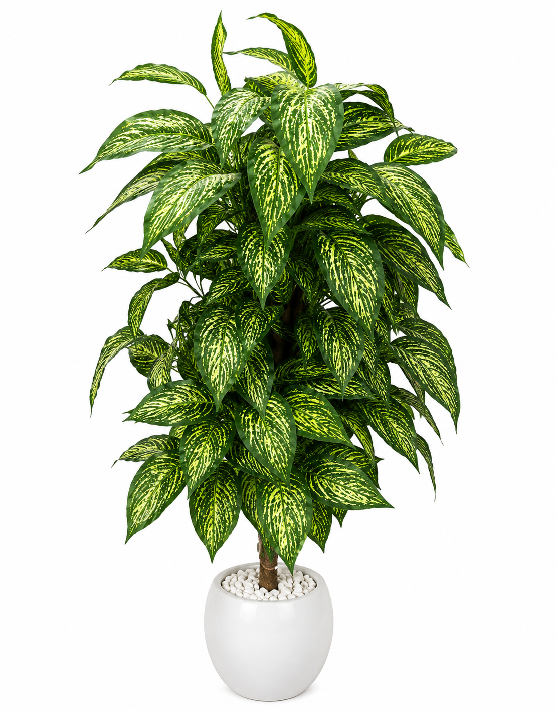 Premium Green & White Variegated Artificial Plant
